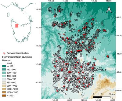 Improving spatial predictions of Eucalypt plantation growth by combining interpretable machine learning with the 3-PG model